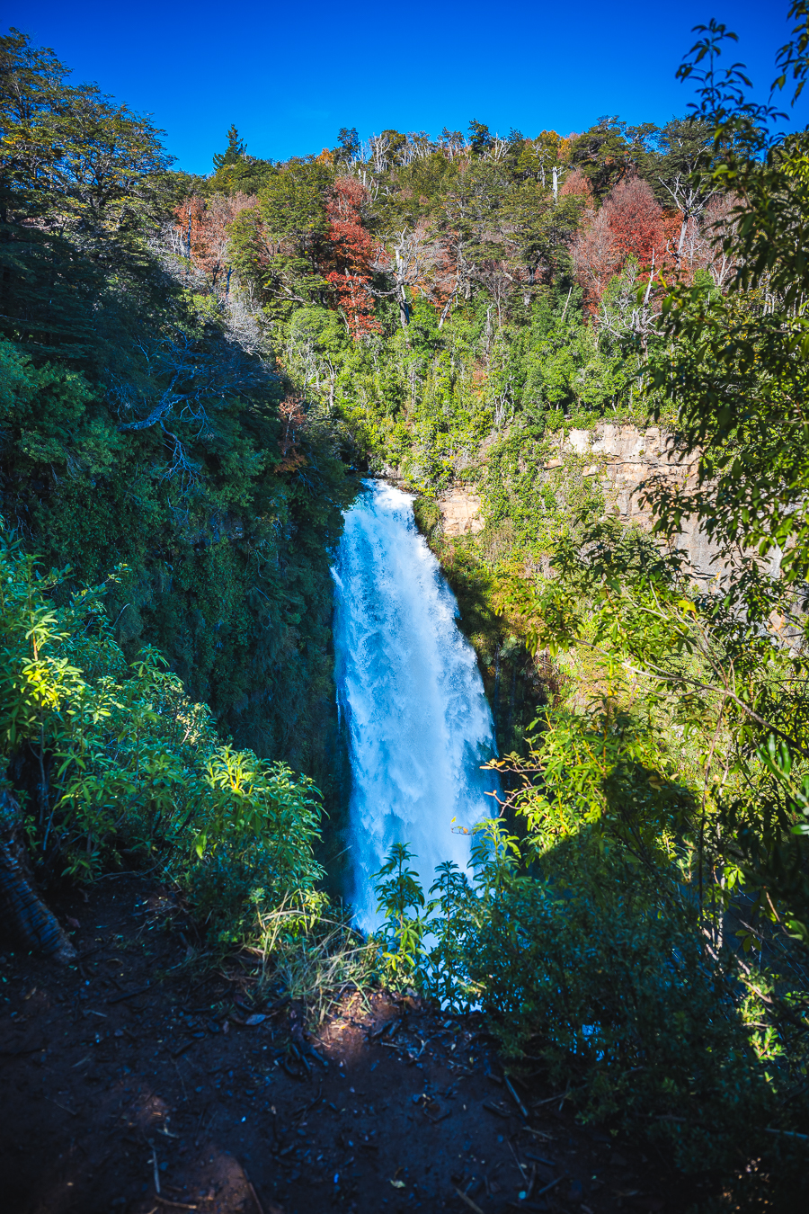 Cascada con pozo azul entre vegetacion